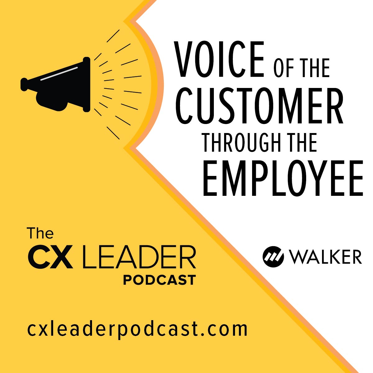 Voice of the Customer through the Employee